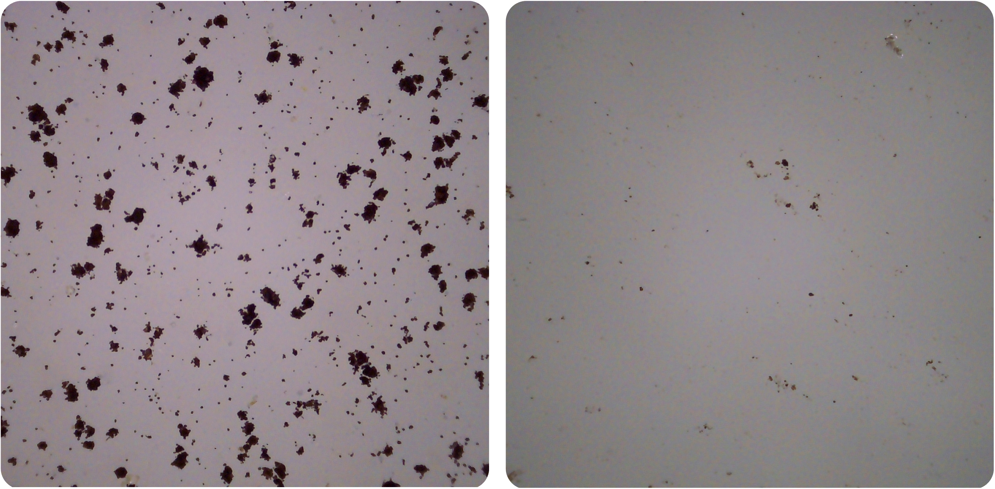 Solar Panel Microscope Imagery Before and After a Cleaning